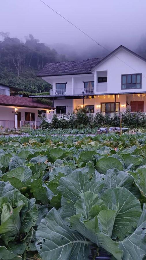 קמרון היילנדס Ng Family'S Farm Stay מראה חיצוני תמונה